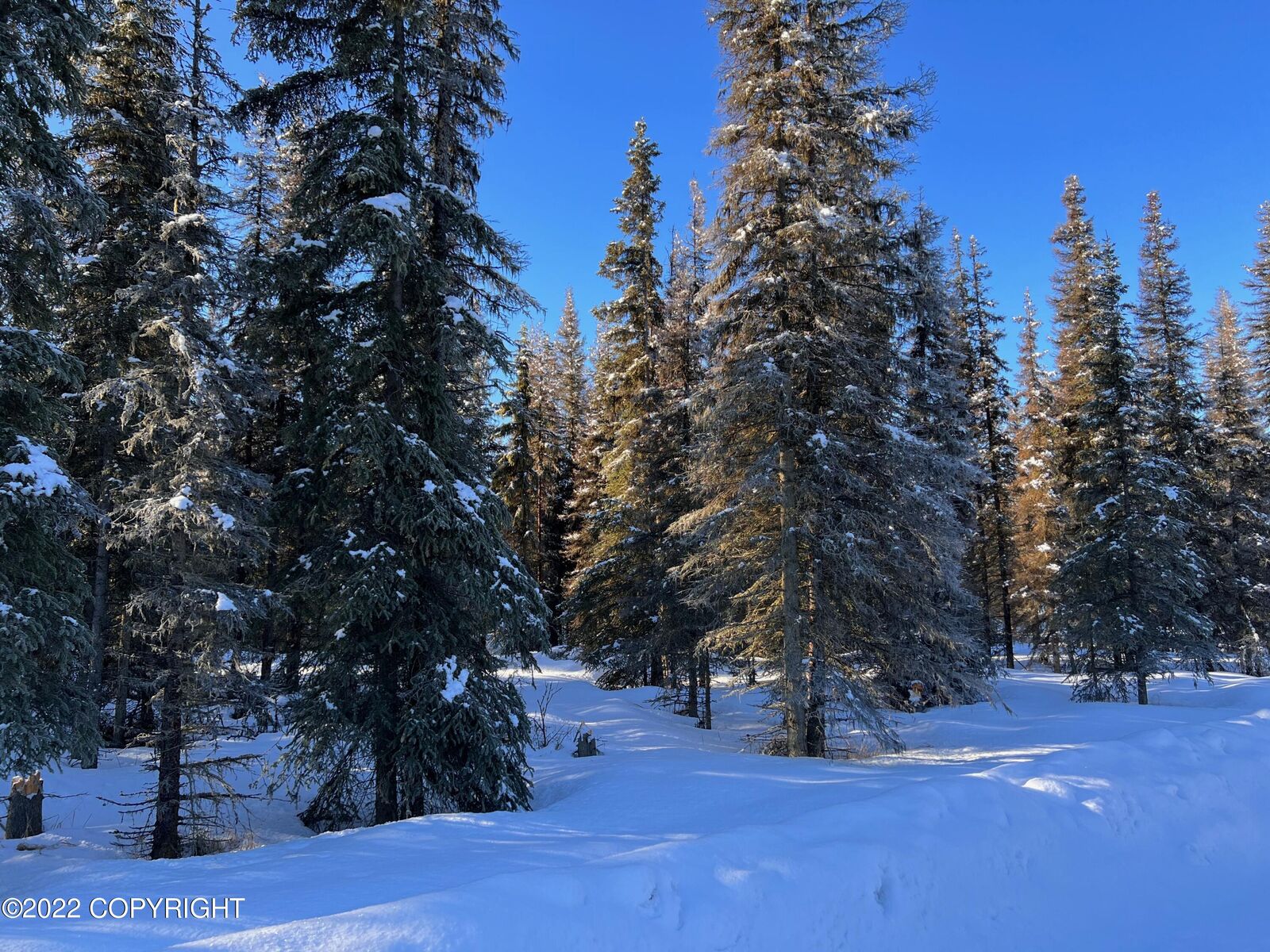 Property Photo: 48405 Miracle Avenue AK 99669