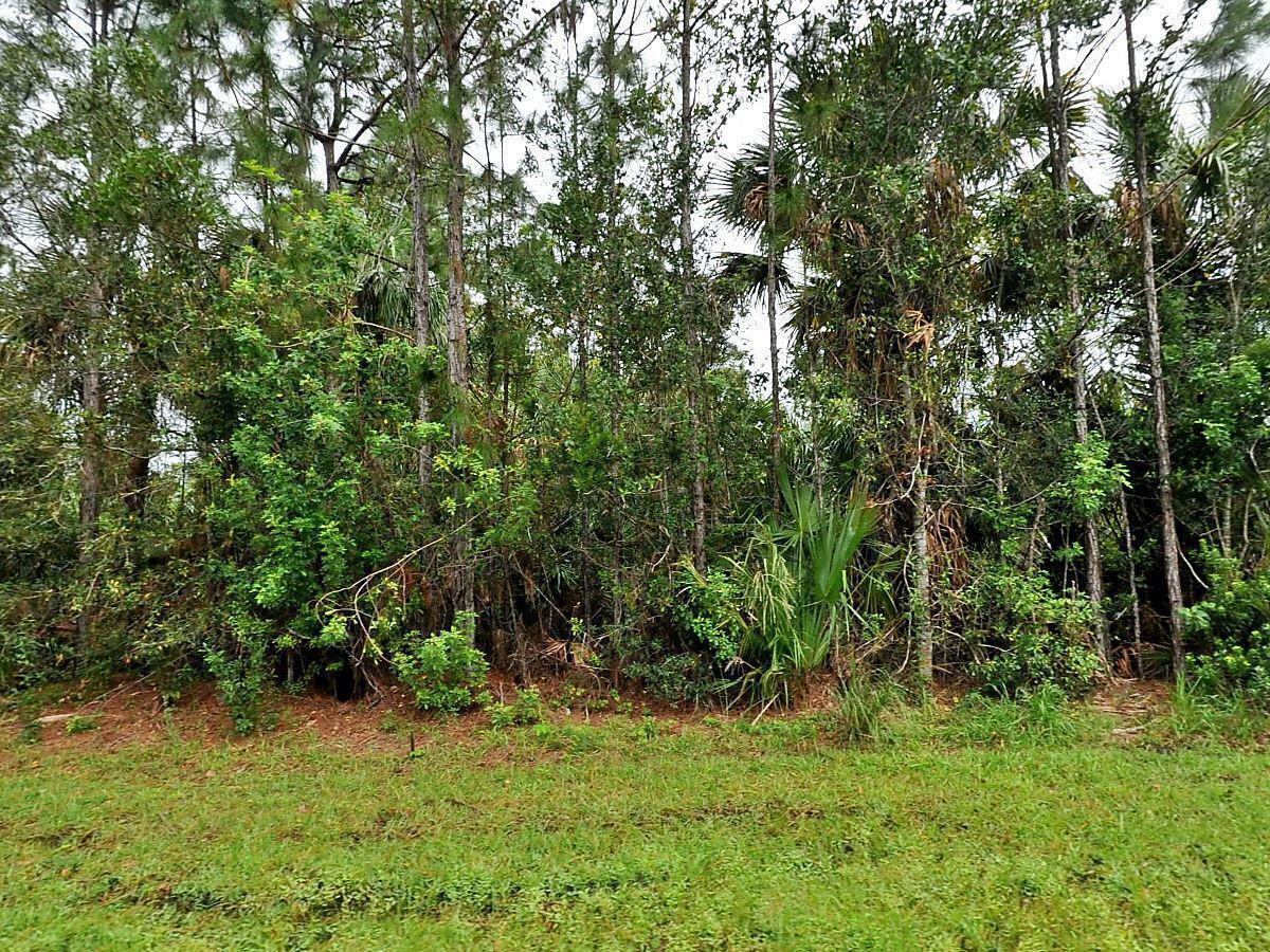 Property Photo:  1873 SW Glenco Street  FL 34953 