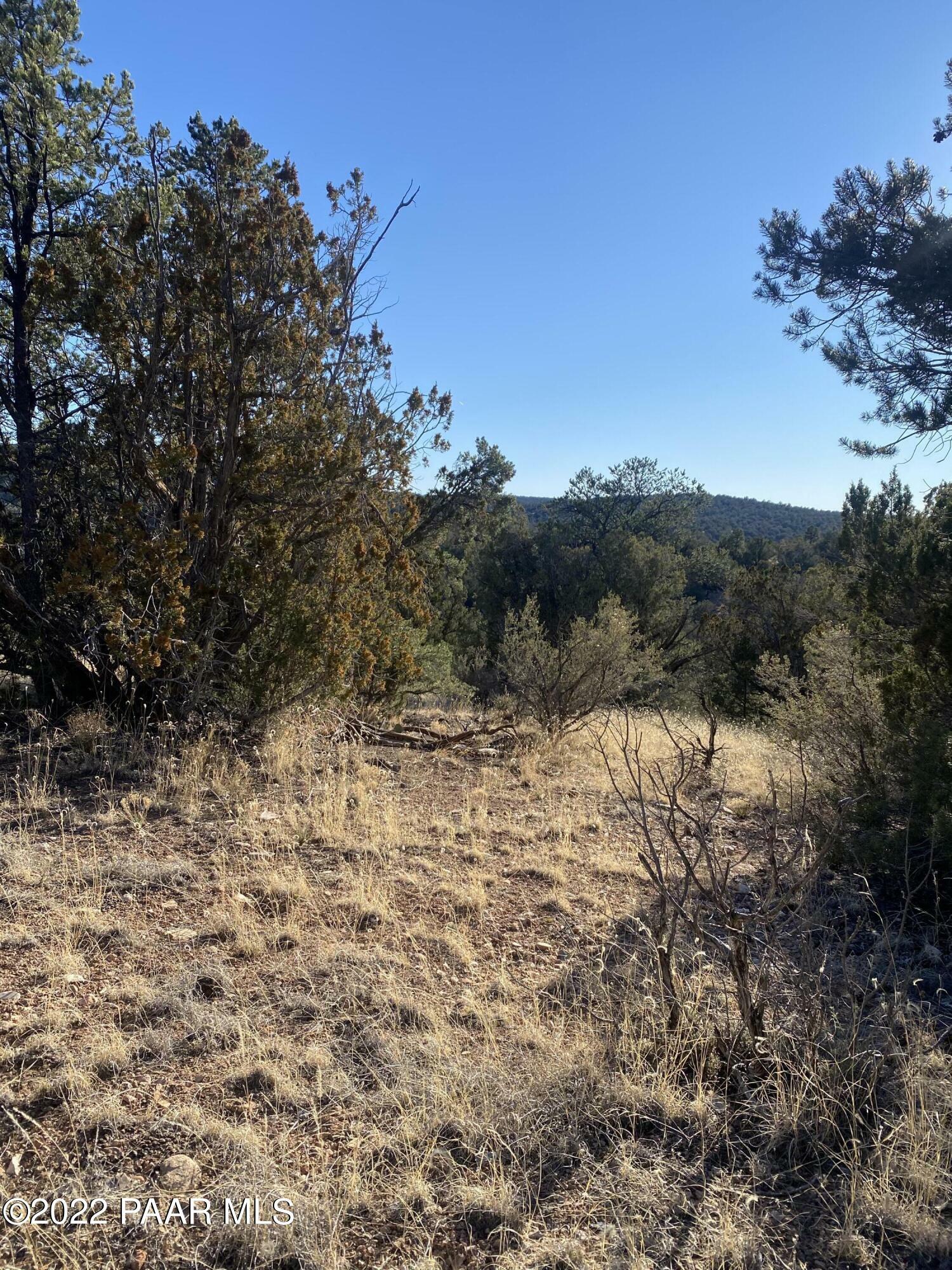 Property Photo:  51824 N Cordero Road  AZ 86337 