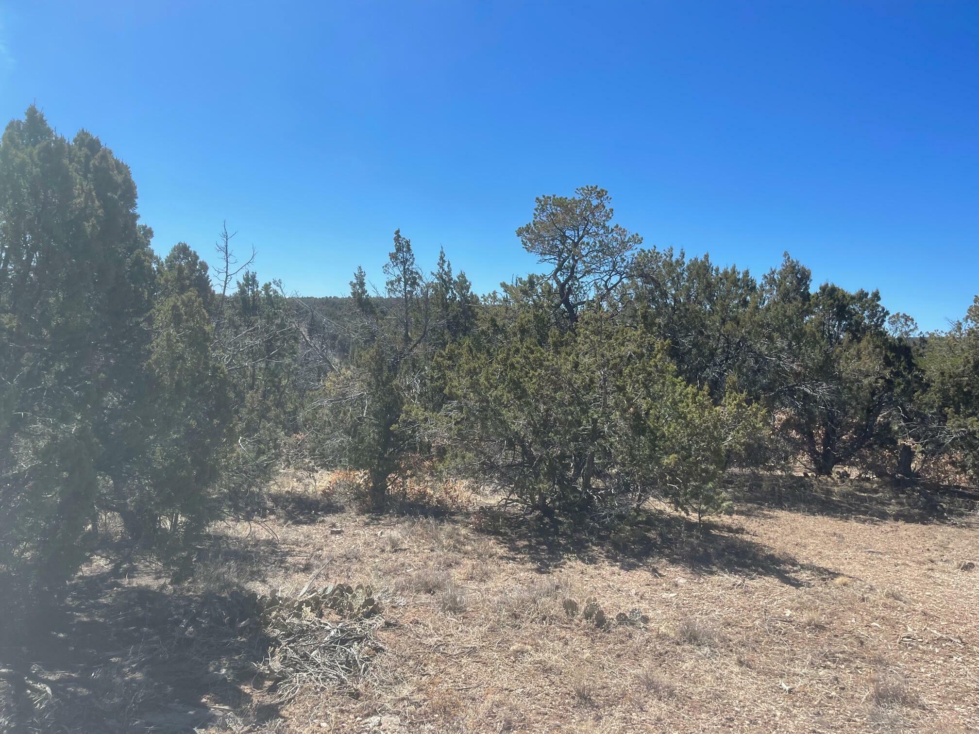 Property Photo:  4 Pine Jay  NM 87015 