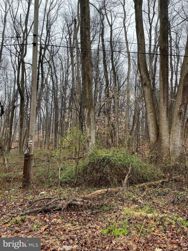 Fairlee-Melitota Road  Chestertown MD 21620 photo