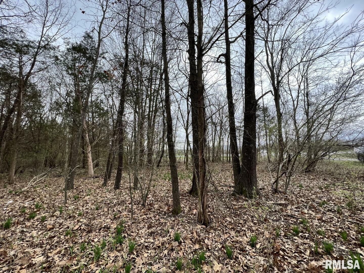 Property Photo: 000 US Route 51 Highway IL 62924