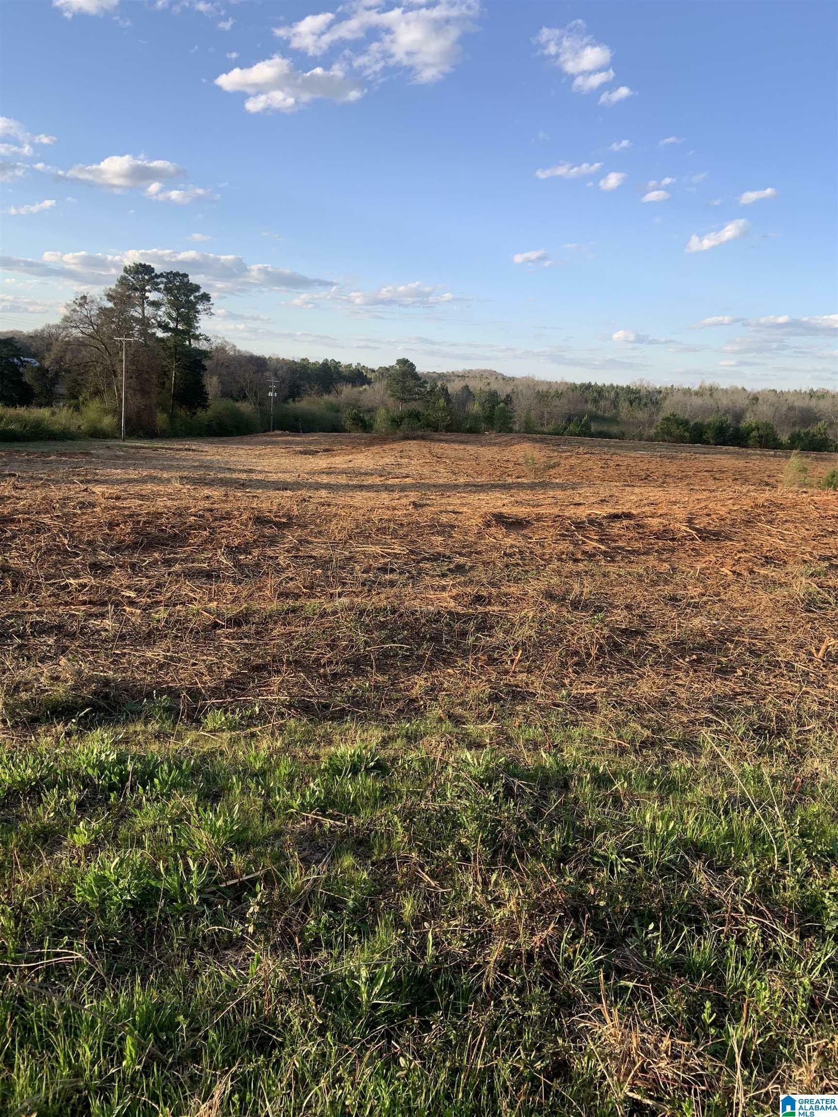 Property Photo:  0 Providence Road 71 Acres  AL 35160 