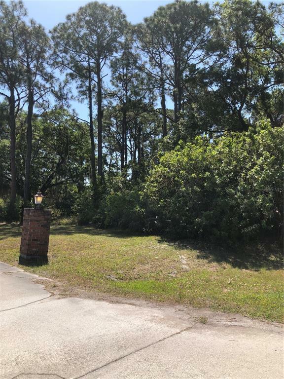 Property Photo:  11821 De Leon Drive  FL 34287 