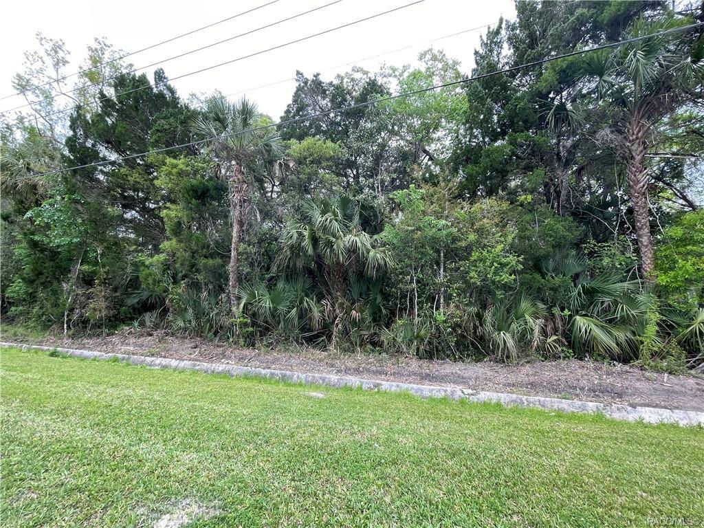 Property Photo:  1088 N Citrus Avenue  FL 34428 