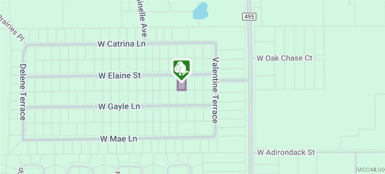 Property Photo: 8150 Elaine Street FL 34428