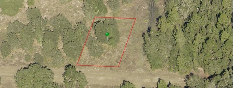 Property Photo: 8217 W Lawton Lane FL 34428