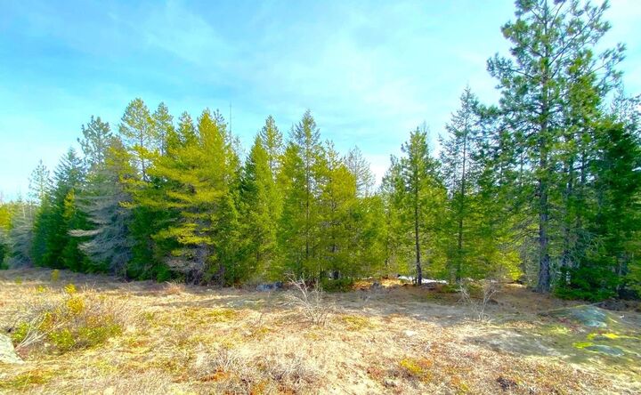 141 Diamond View Rd  Newport WA 99156 photo