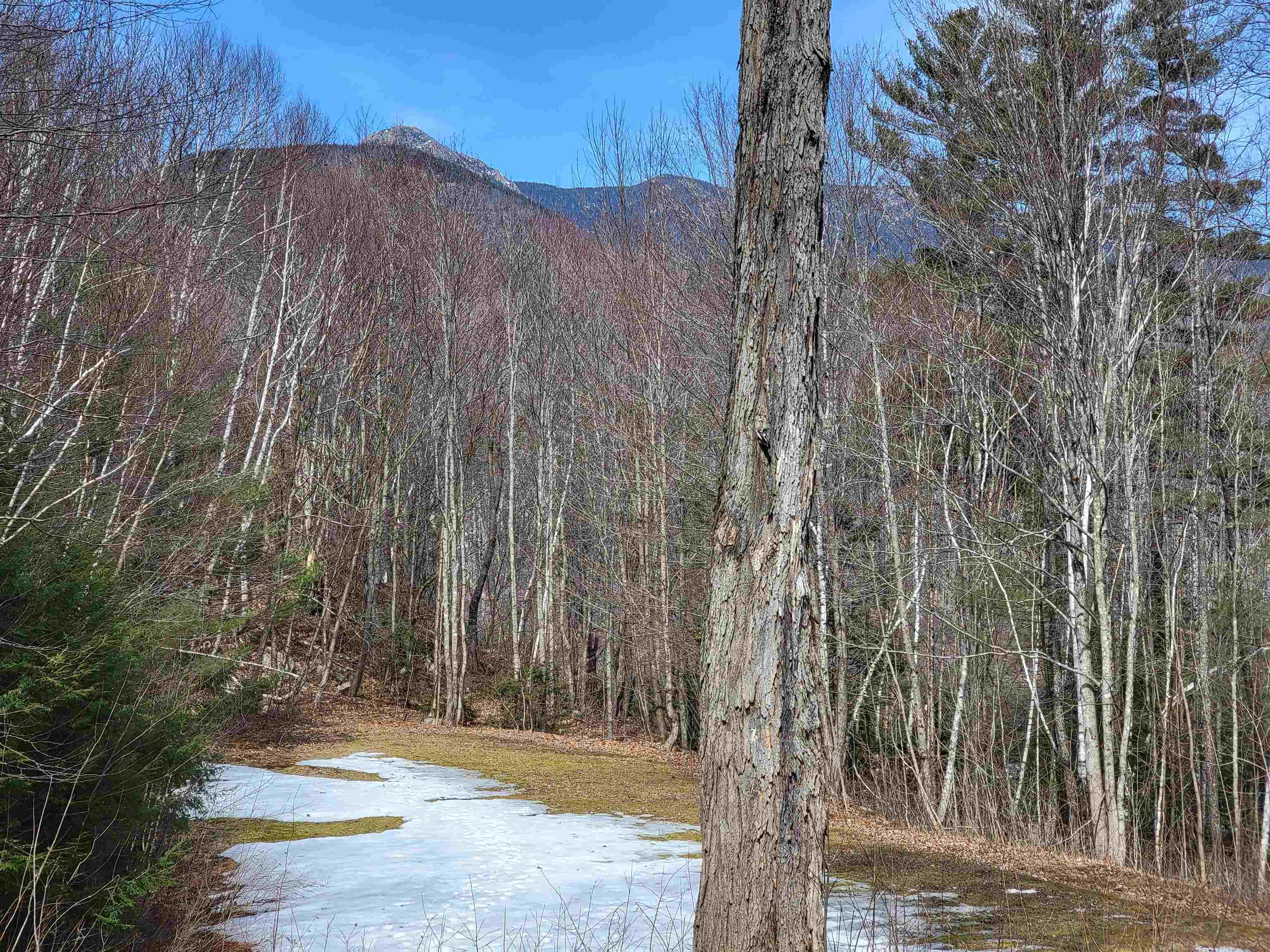 Property Photo:  1422 Washington Hill Road  NH 03817 