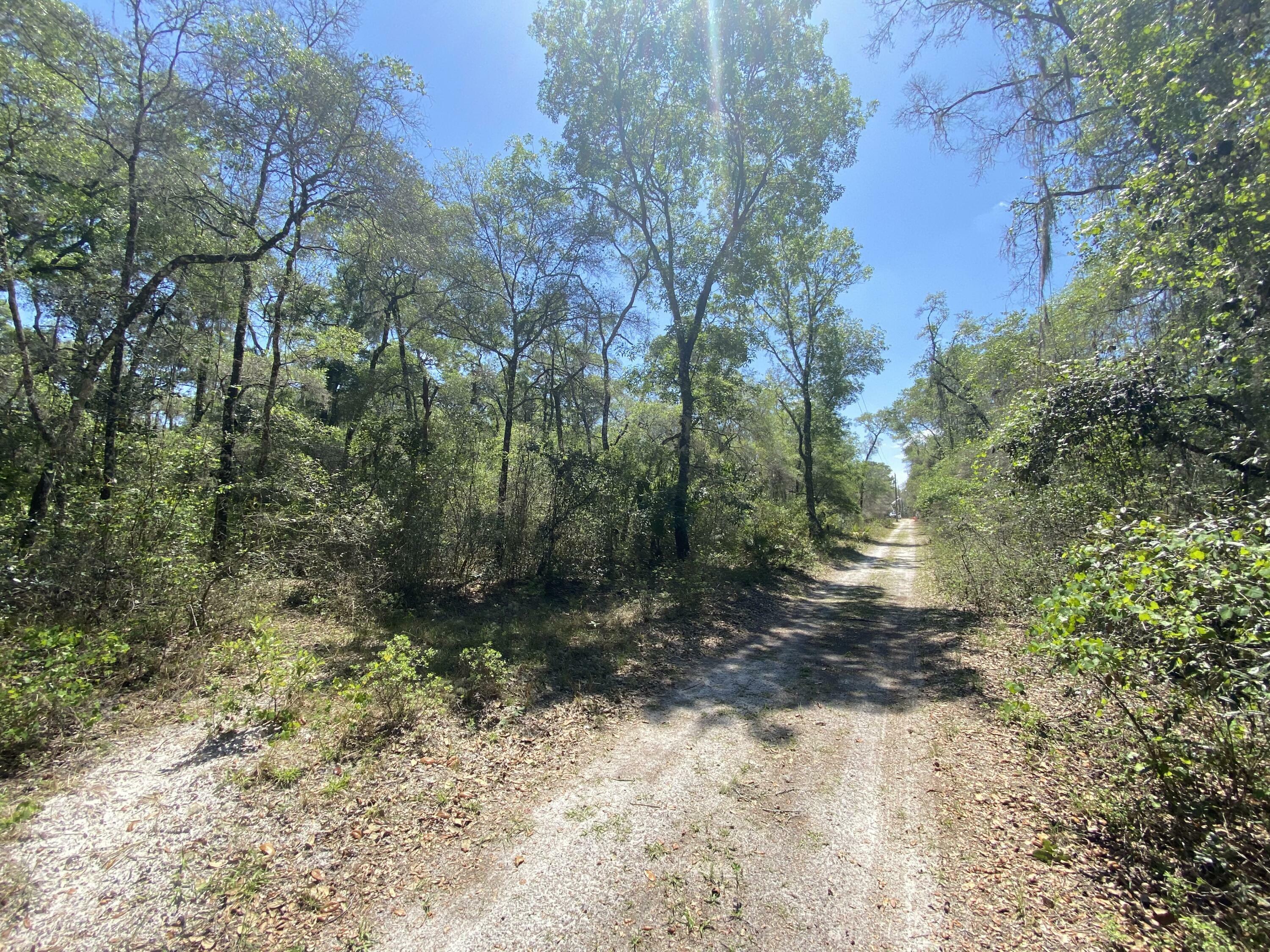 10720 E Barrett Lane  Inverness FL 34450 photo