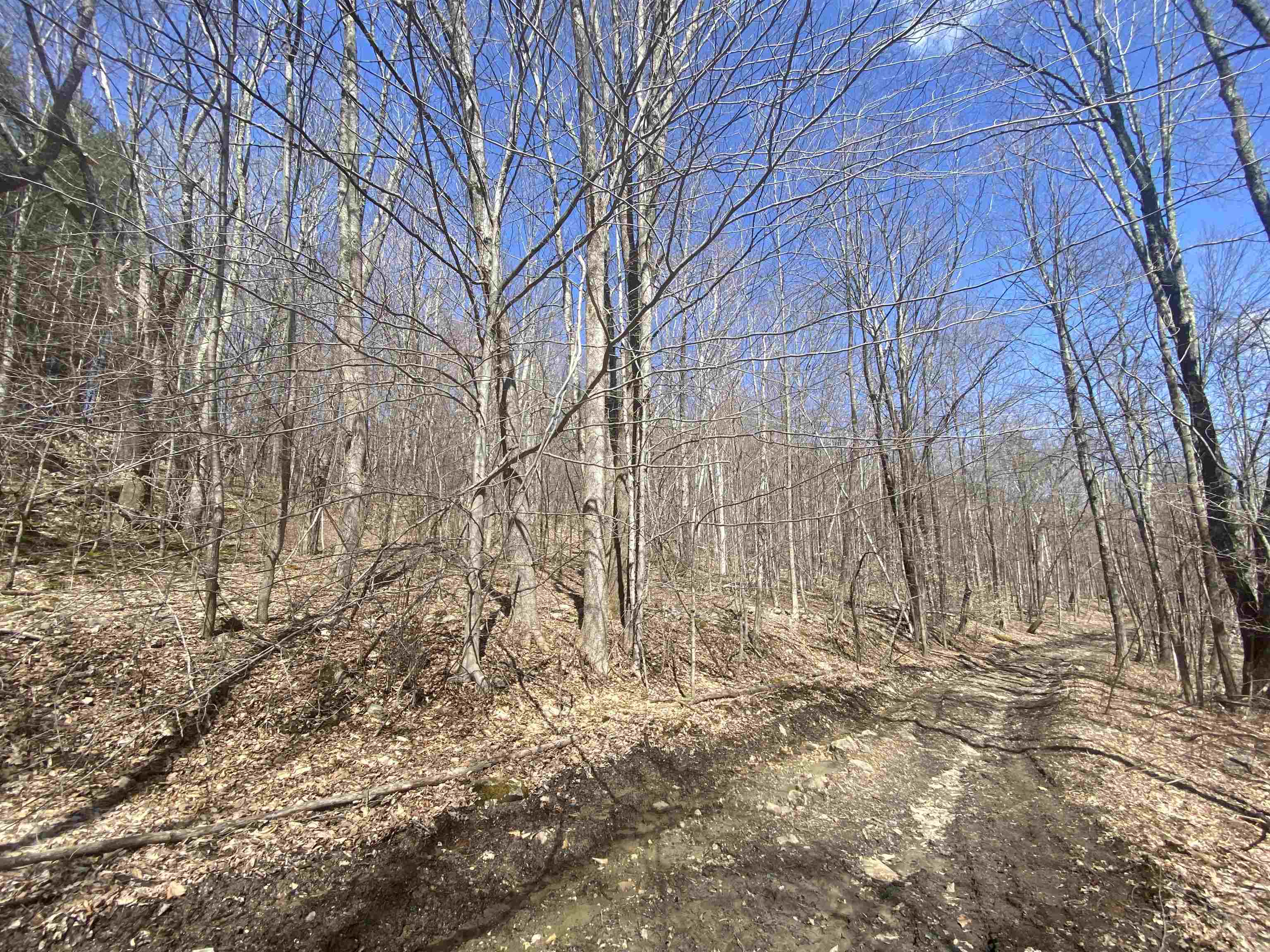 Property Photo:  0 Horton Lot B Road  VT 05759 