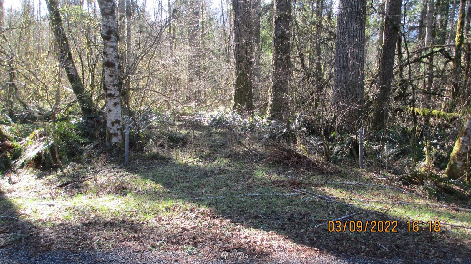 Property Photo: 55015 315th Avenue E WA 98304