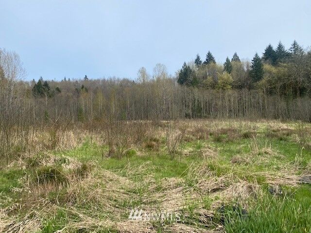 Property Photo:  0 Frontage Road  WA 98611 