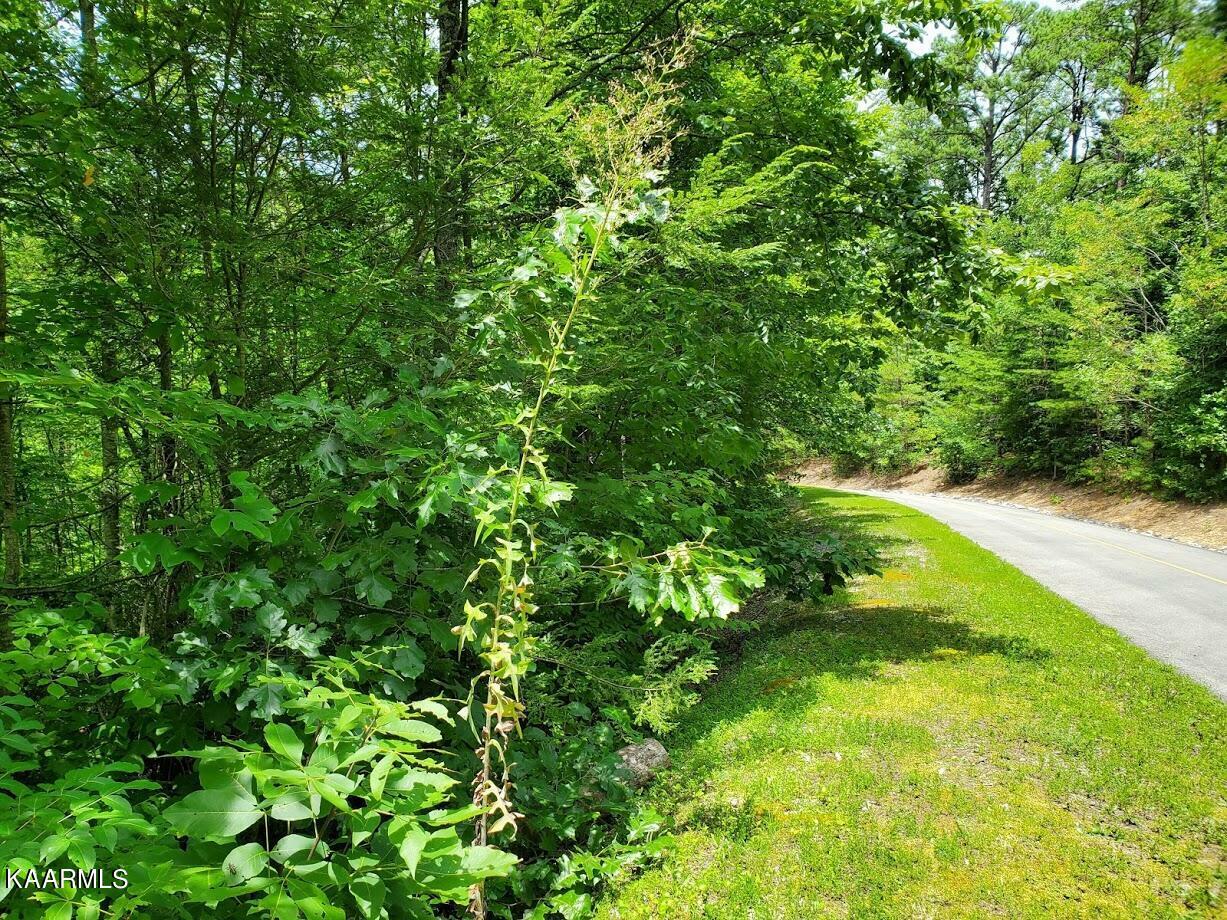 Property Photo:  Rocking Chair Lane  TN 37862 