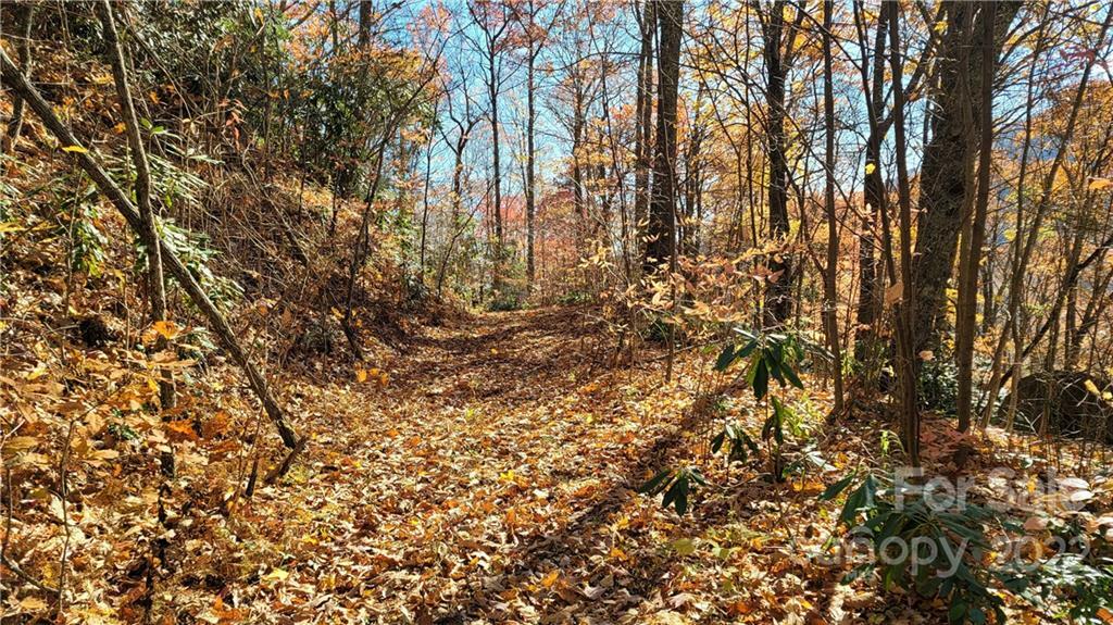 Property Photo: 42 Forget Me Not Lane NC 28786