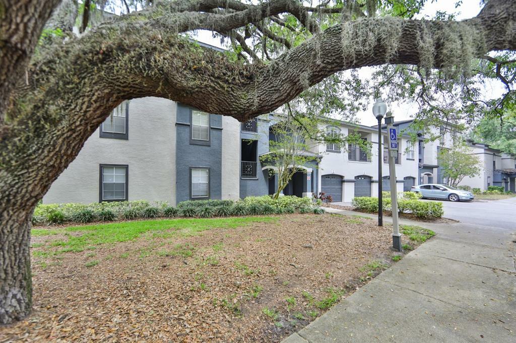 Property Photo:  13110 Arbor Isle Drive 209  FL 33637 