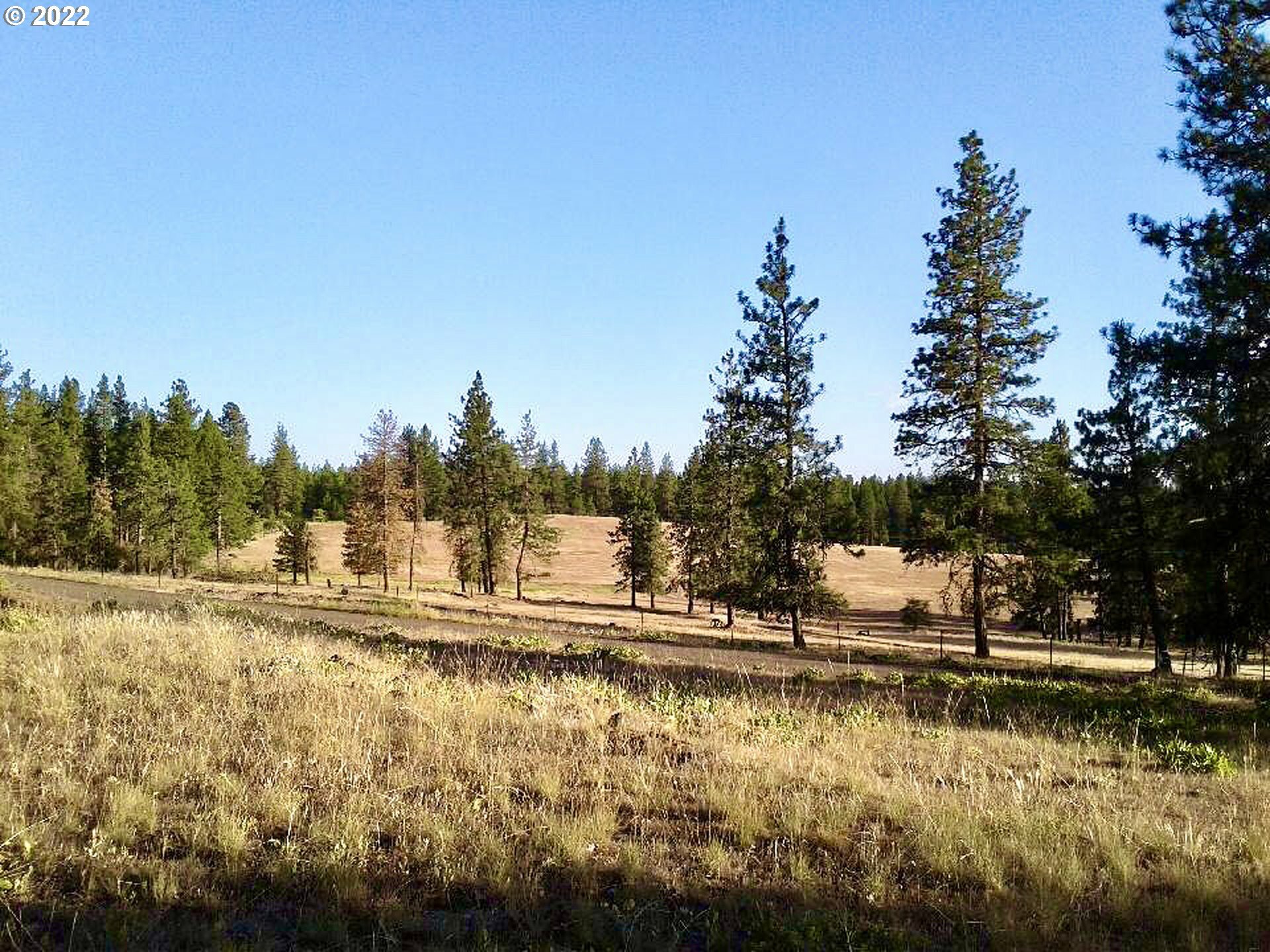 Property Photo:  929 Zelinski Rd  WA 98620 