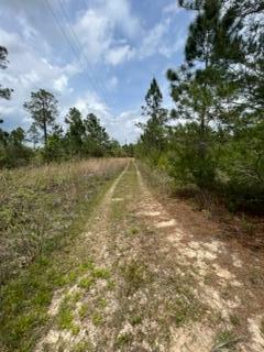 Property Photo:  187 Don Graff Road  FL 32439 