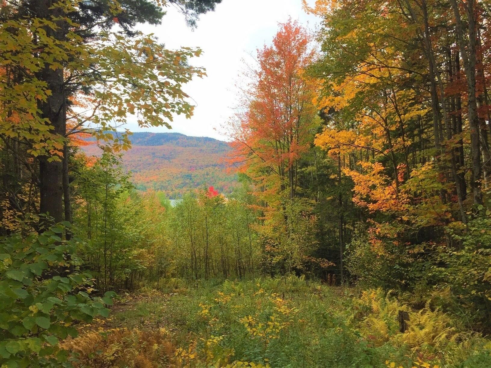 Property Photo: 0 Overlook Hill Road 2 VT 05657