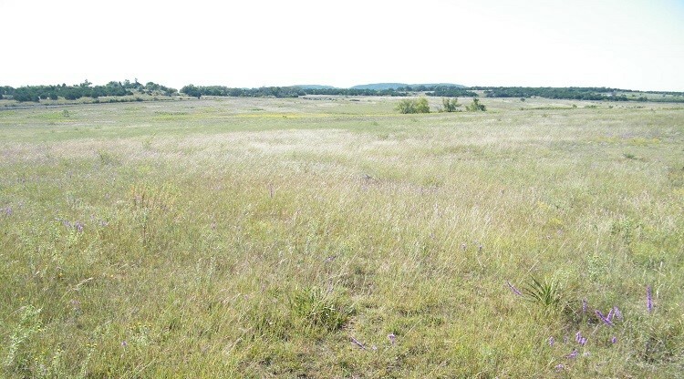 Property Photo:  00 Westfall Drive  TX 78611 