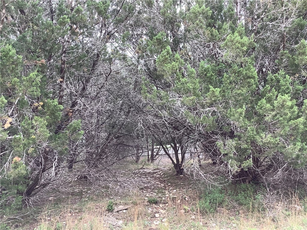 Property Photo:  Tbd Augusta Drive  TX 78676 