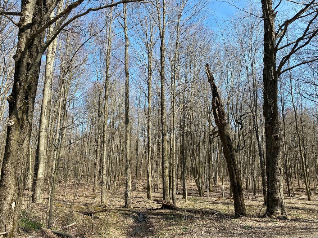 Property Photo: 204 Parks Road NY 13778