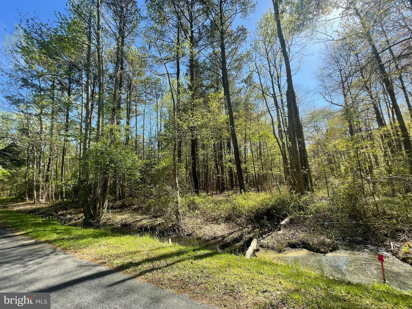 Property Photo:  0 Cemetery Road  MD 21821 