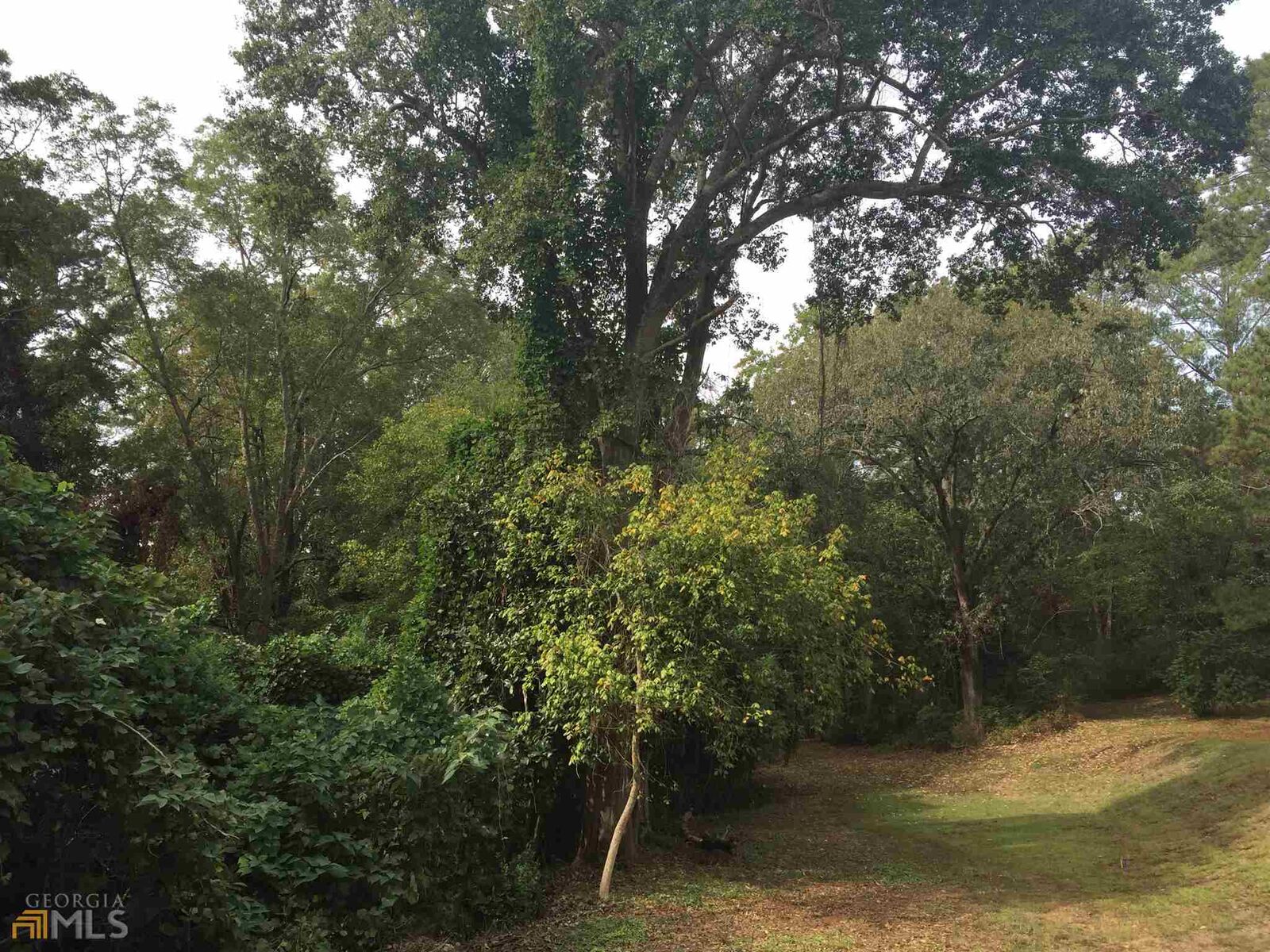 Property Photo:  39 Hollis Heights  GA 30263 