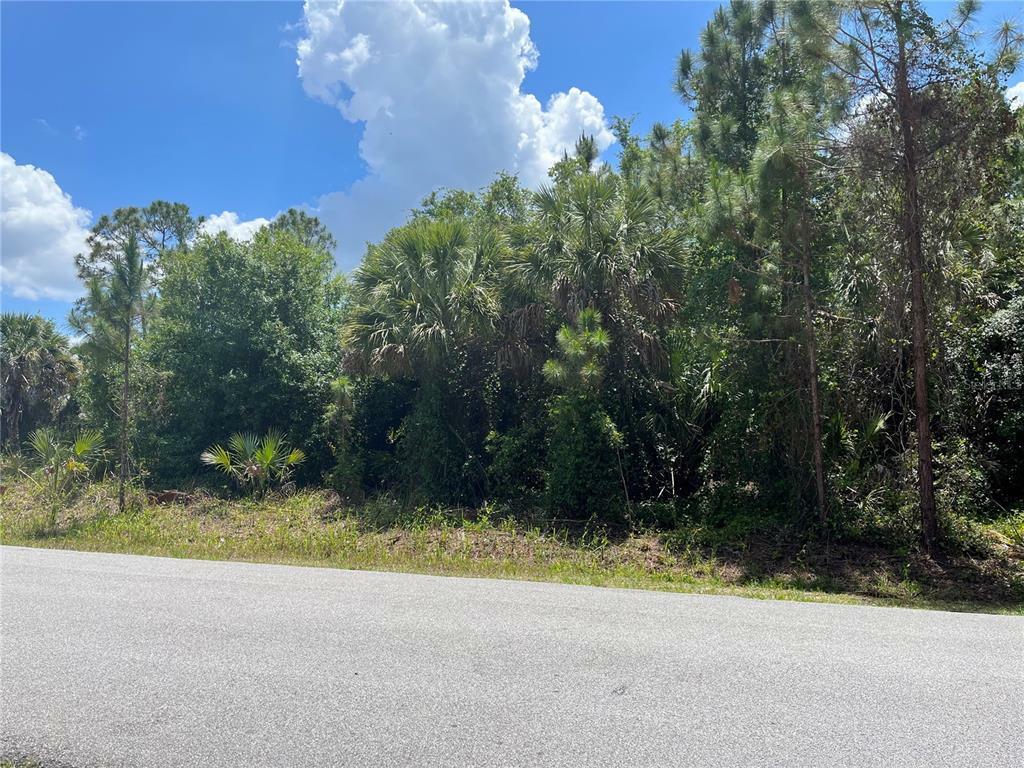 Property Photo:  Johannesberg Road  FL 34288 