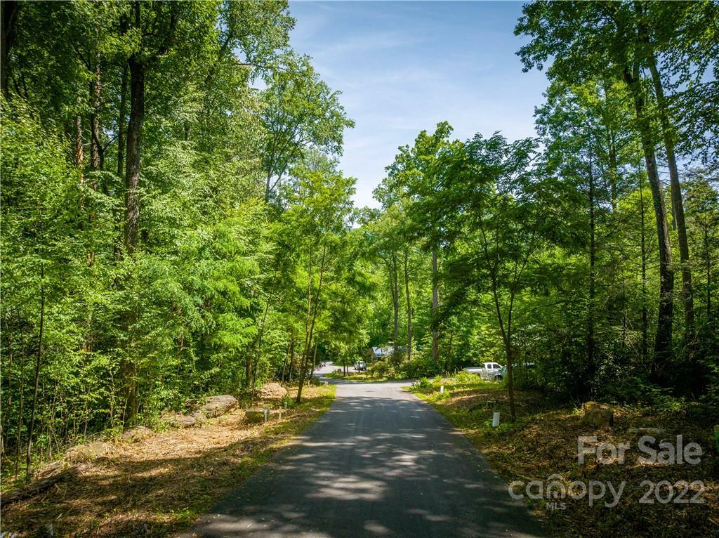 Property Photo:  Lot 38 Twinbrook Lane  NC 28751 