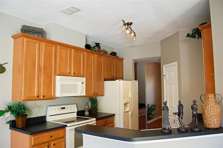 Property Photo: 8607 Danforth Drive FL 34786