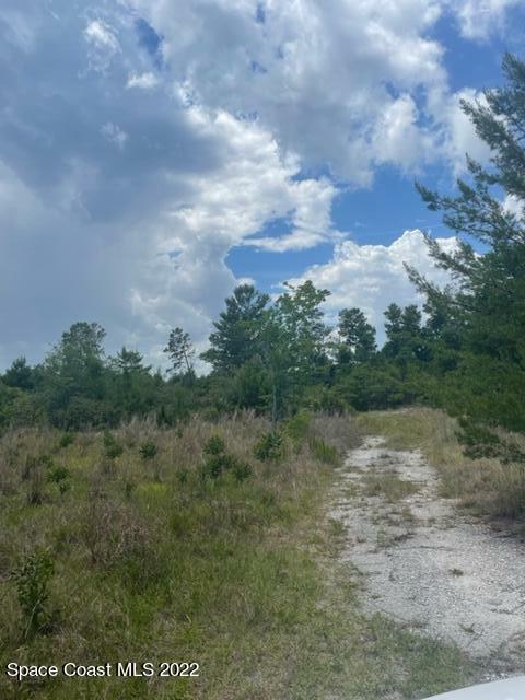 Property Photo: 4570 Meadow Green Road FL 32754