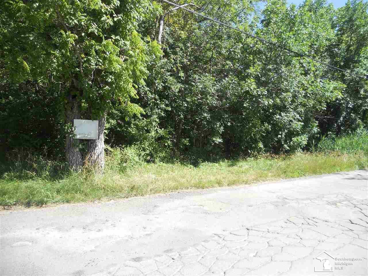 Property Photo:  0 W River Rd.-Vacant Lot  MI 48138 