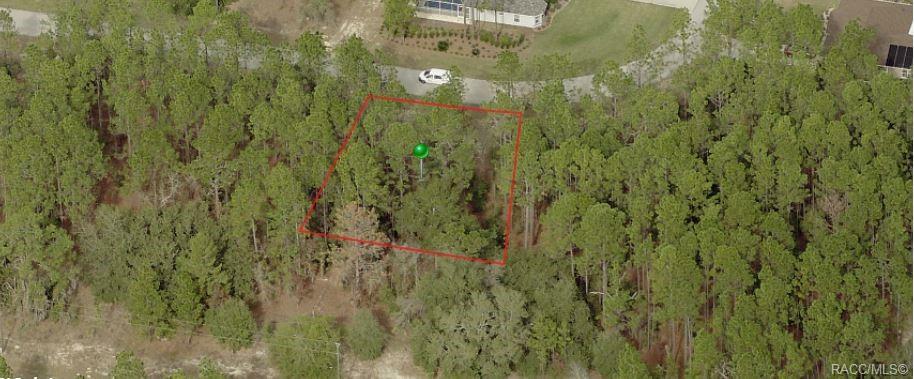 Property Photo:  7961 N Primrose Drive  FL 34434 