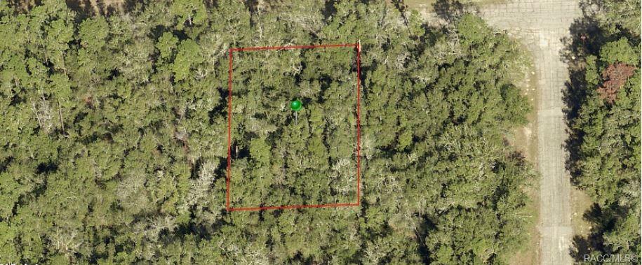 Property Photo:  284 E Enfield Lane  FL 34434 