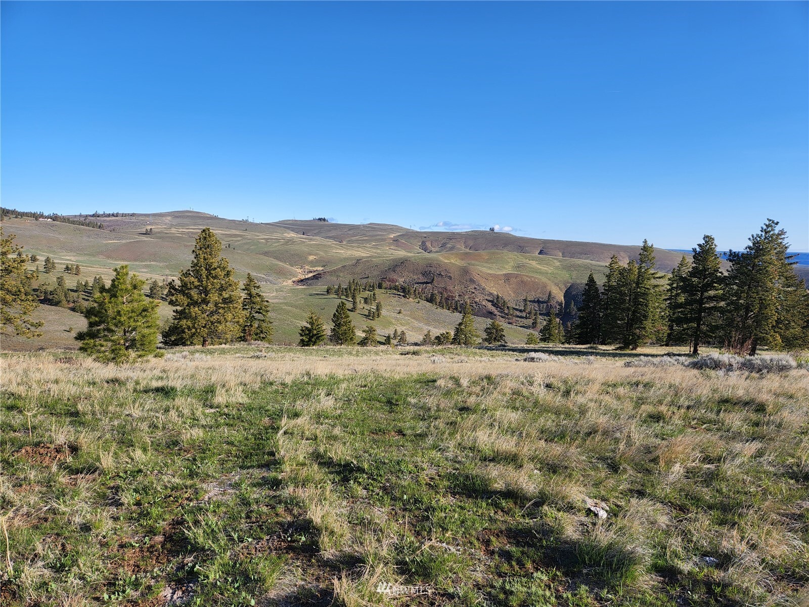 Property Photo: 0 Kingsbury Road WA 98828