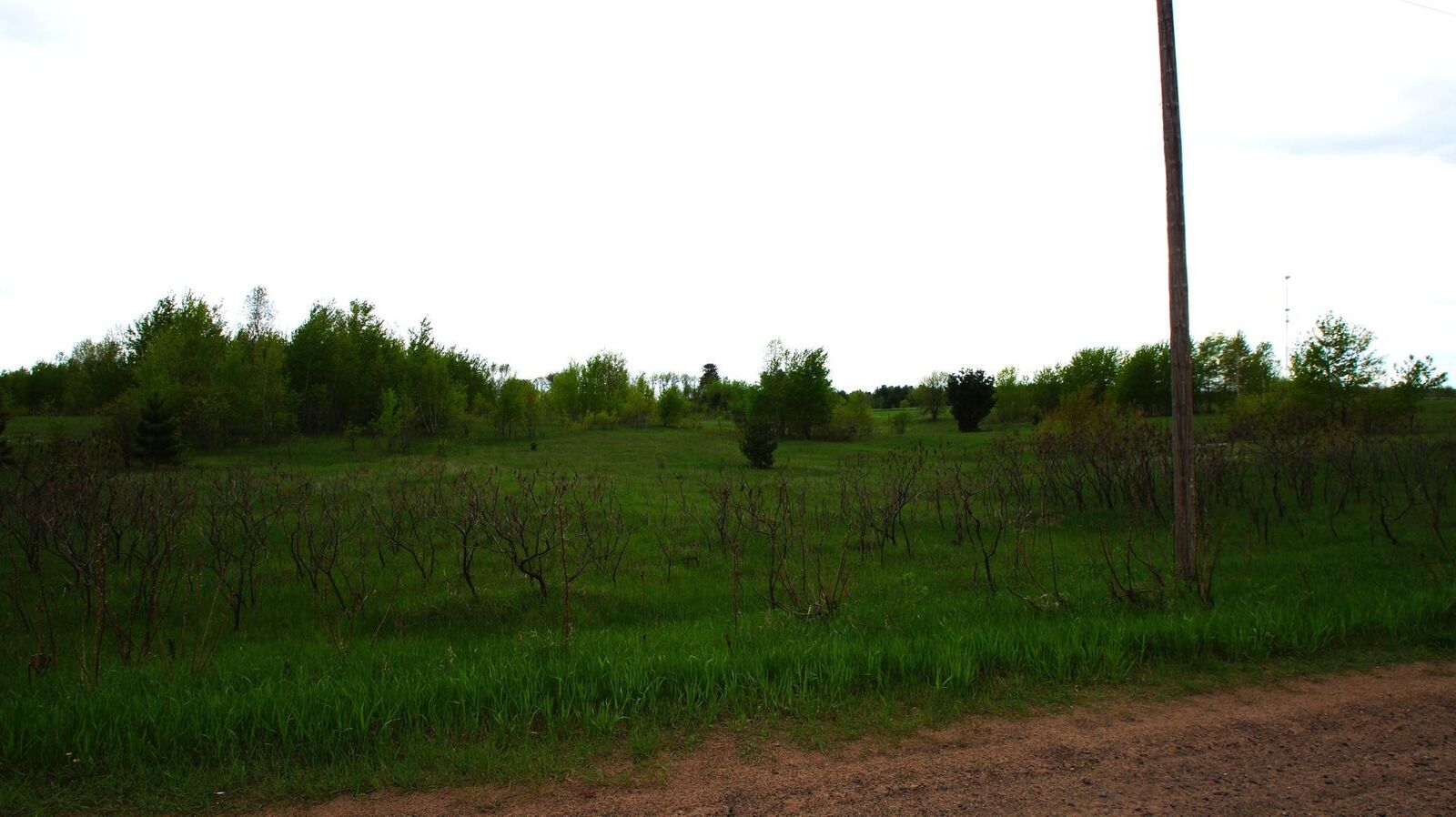 Property Photo:  Xxx Pelkey Creek Road  MN 55037 