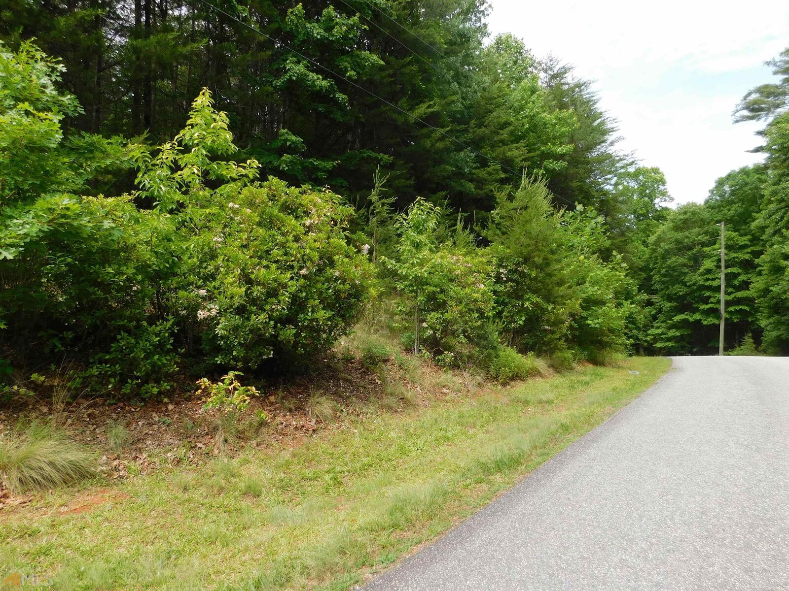 Property Photo:  D 15 Panorama Drive  GA 30571 