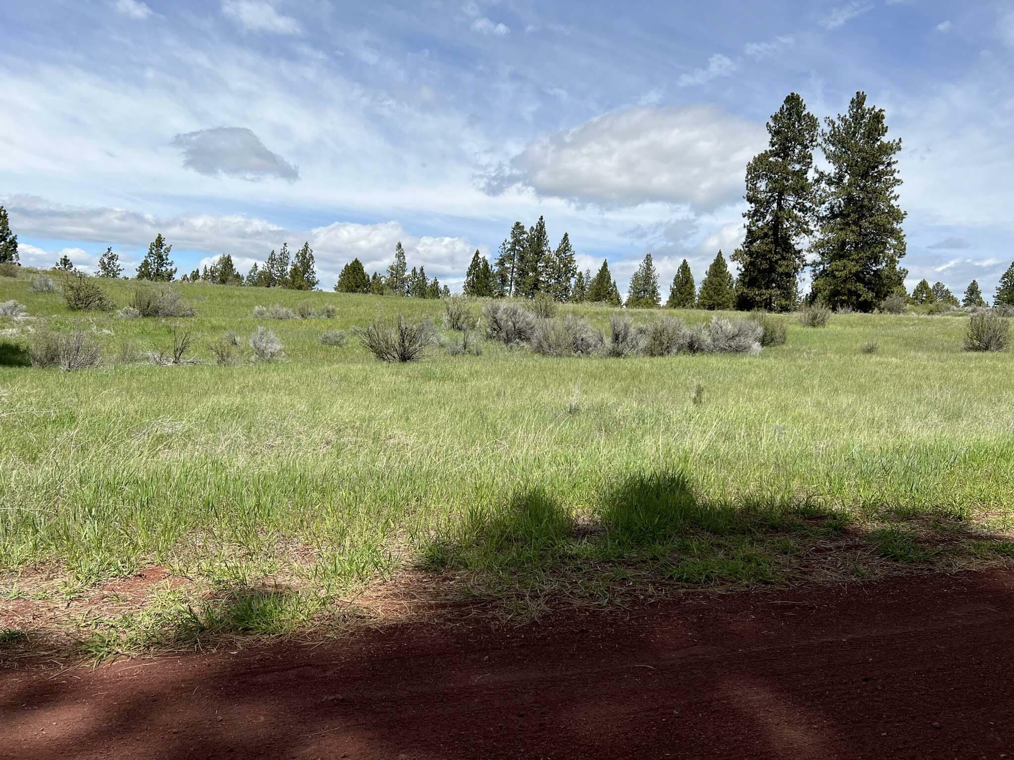 Property Photo:  Maidu Court Blk 1, Lot 6  OR 97624 