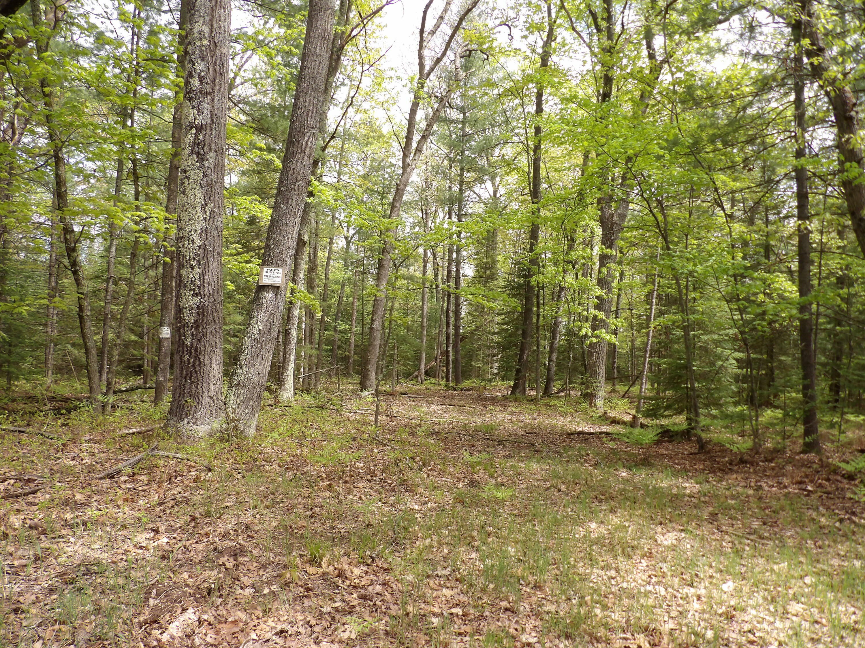 Property Photo:  Lot 10 Club Road  MI 48656 