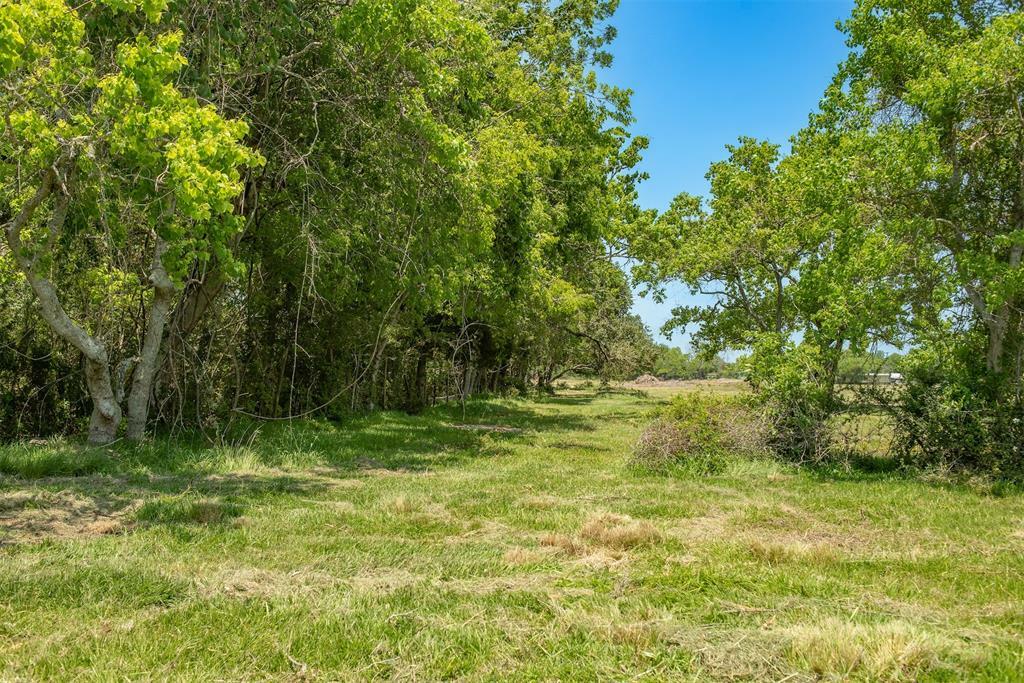 Property Photo:  000 Ike Franks Tract 11 Road  TX 77517 