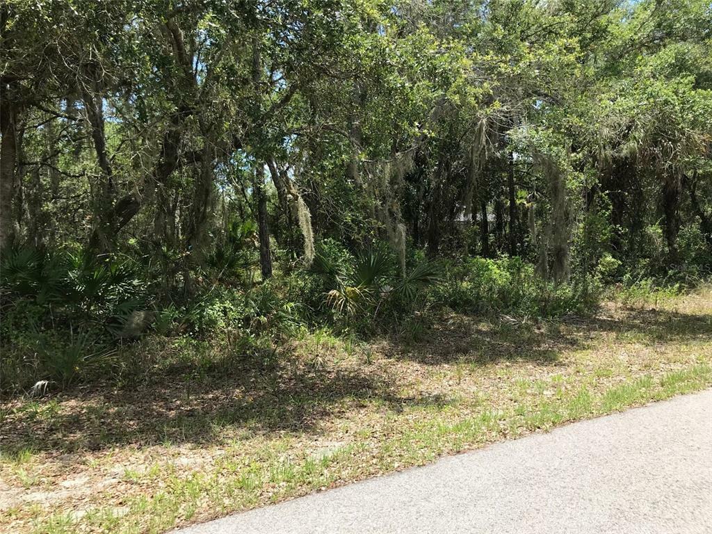 Property Photo:  17387 Reaper Avenue  FL 33948 