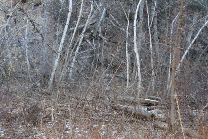 Property Photo: 10731 Victoria Lane SD 57783