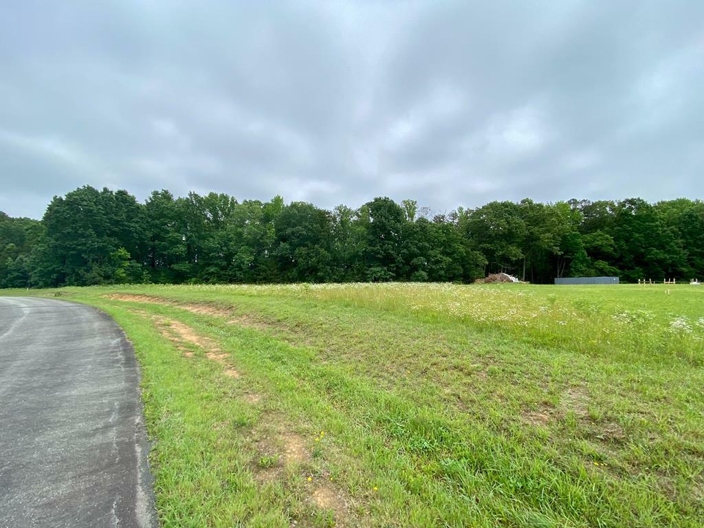 Property Photo:  Lot 6 Fern Ridge  VA 23927 