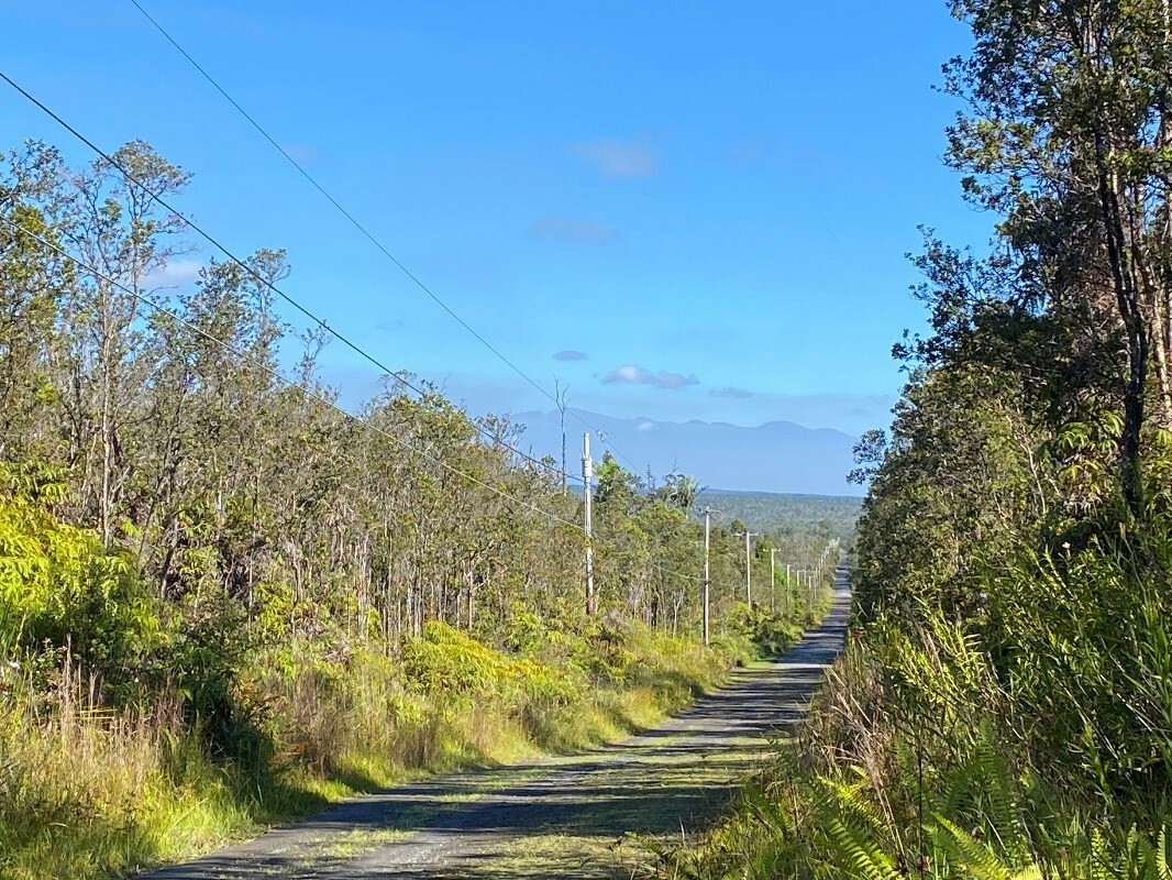 Property Photo:  Kahaualea Rd  HI 96785 