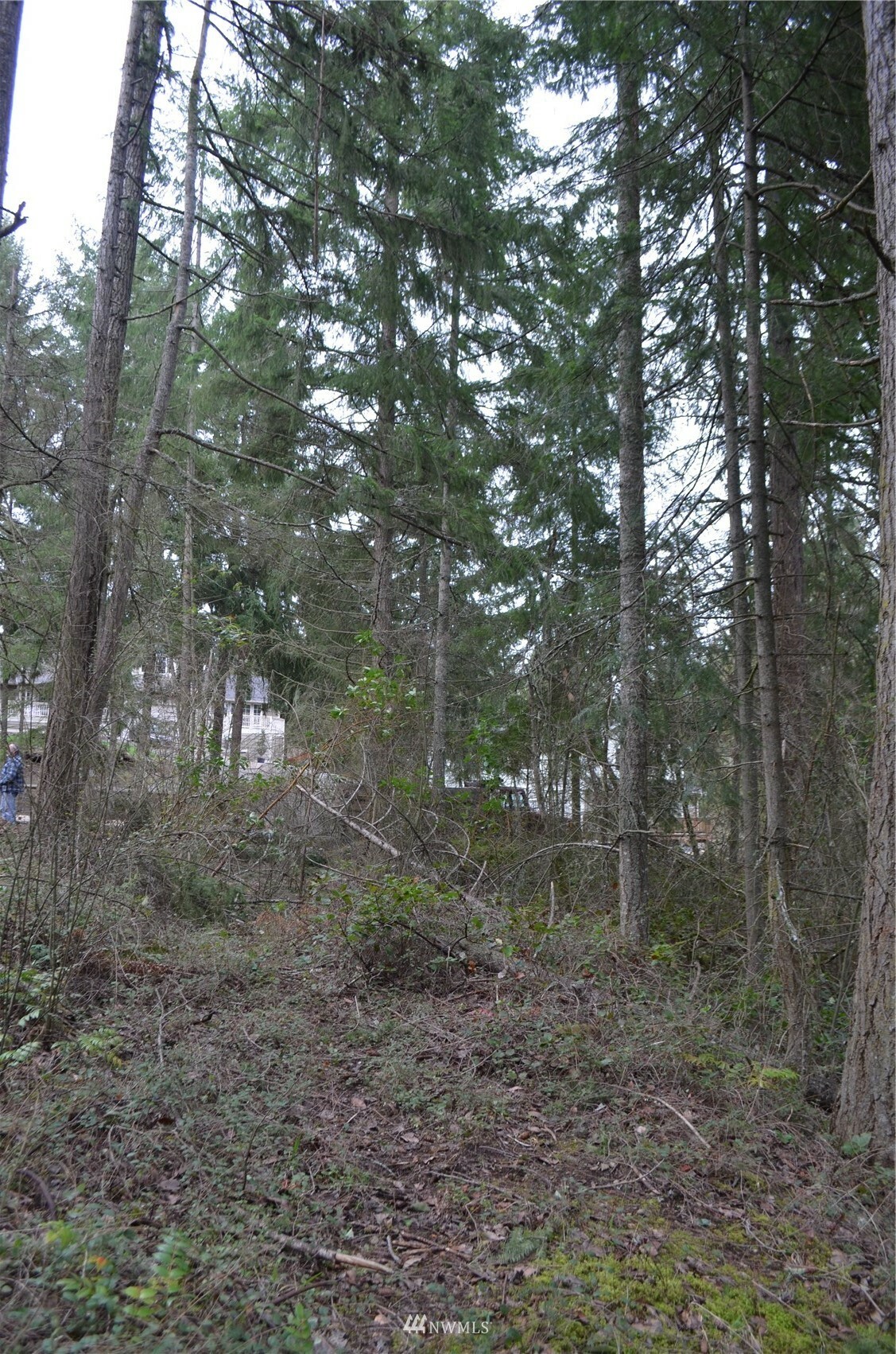 Property Photo: 22137 Clear Lake Boulevard SE WA 98597