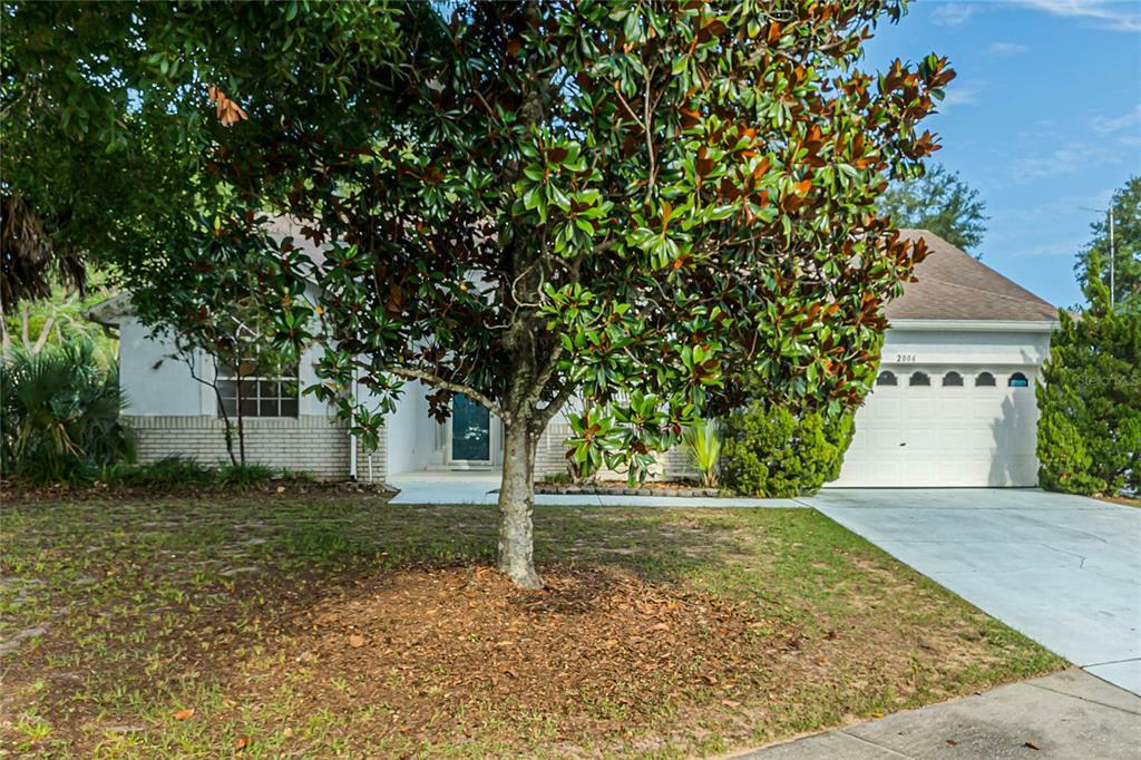 Property Photo:  2006 Jaffa Court  FL 34714 