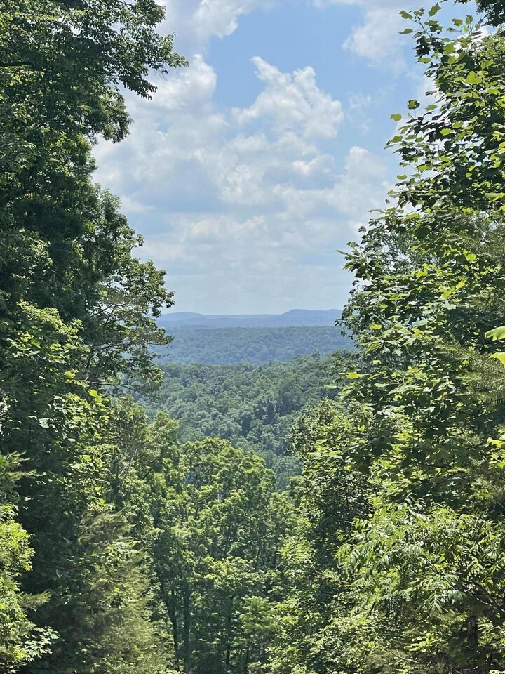 Property Photo: Lot 72 Sandstone Point KY 42633