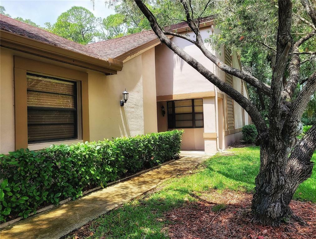 Property Photo:  3985 Mermoor Drive  FL 34685 