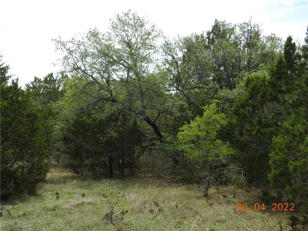 Property Photo:  120 Blessing Ranch Road  TX 78642 